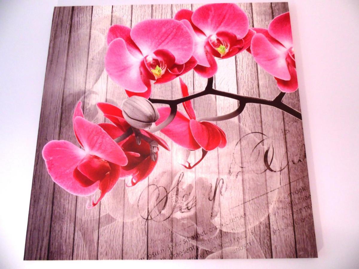Apartament Orchidea クラクフ エクステリア 写真